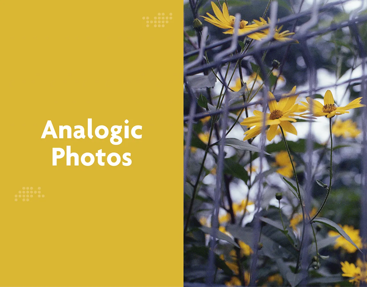 Portada del proyecto Analogic Photos