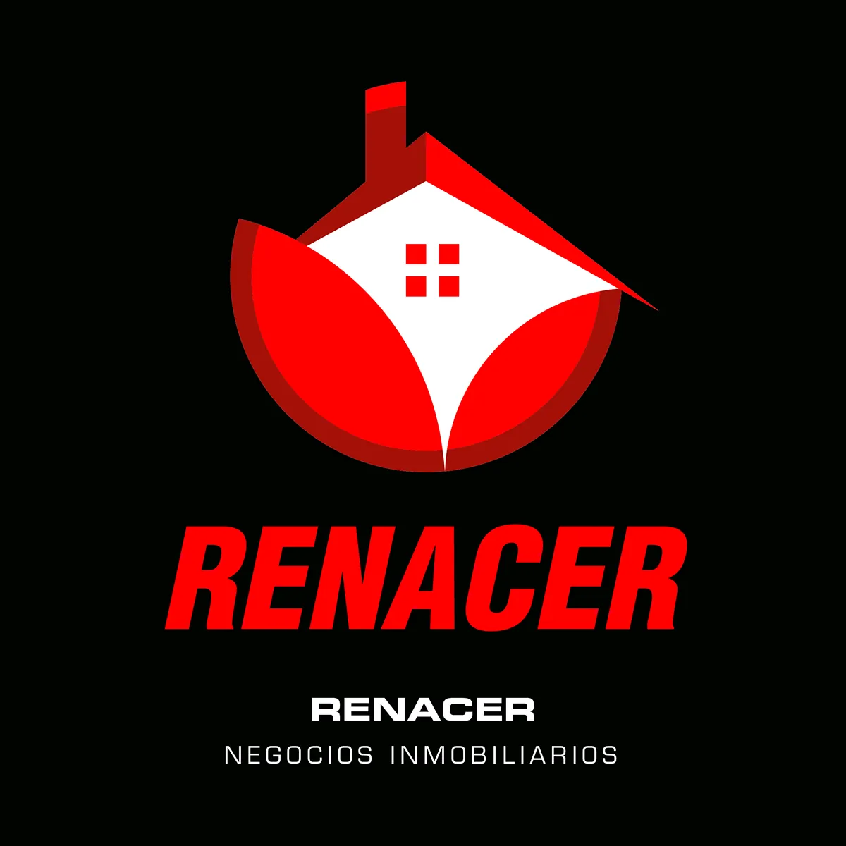 Renacer — Negocios inmobiliarios